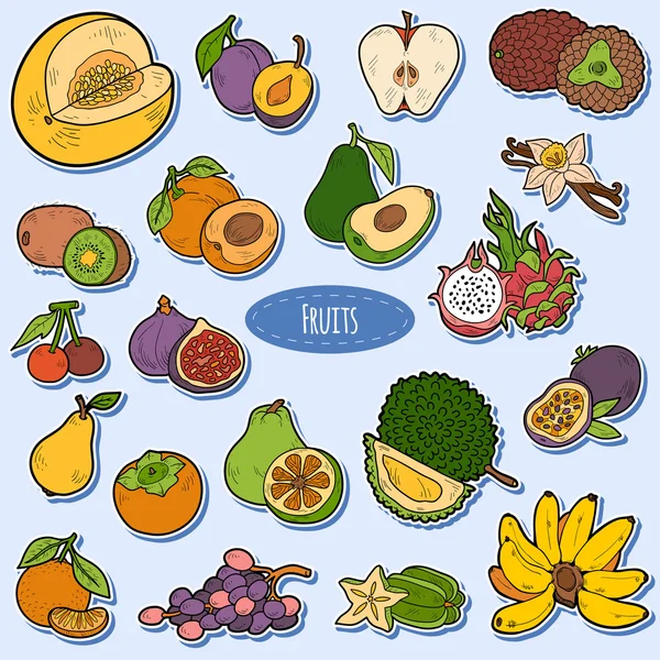 Set di colori con frutta tropicale, adesivi cartoni animati vettoriali — Vettoriale Stock