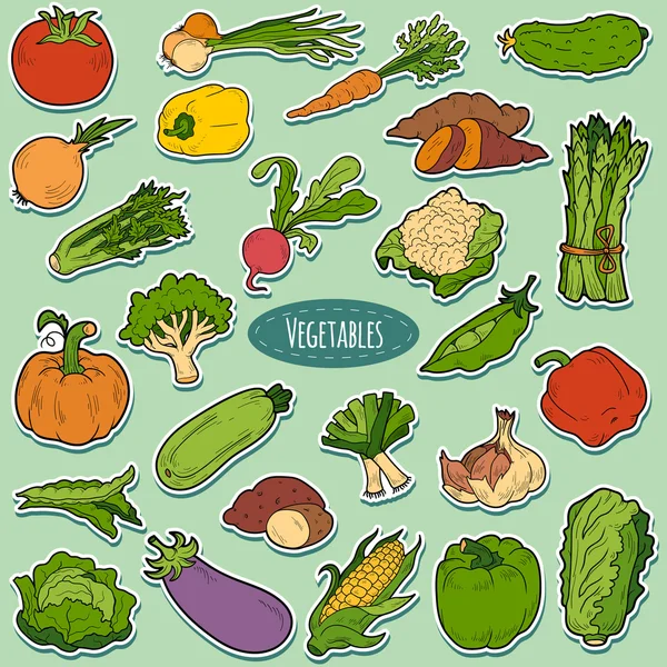 Set de couleurs avec légumes, autocollants de dessin animé vectoriel — Image vectorielle