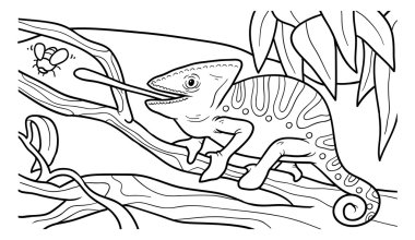 (Bukalemun çocuklar için boyama kitabı)