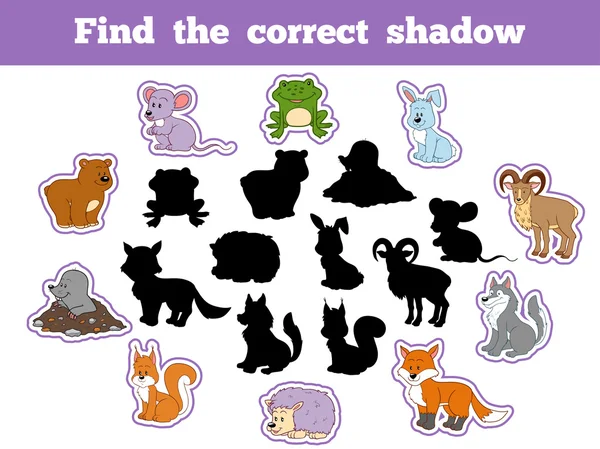 Encontrar la sombra correcta (animales del bosque ) — Vector de stock