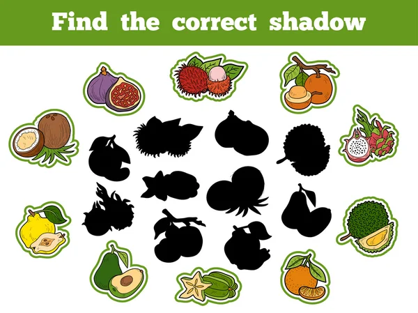 Encontre a sombra correta (frutas ) —  Vetores de Stock