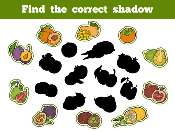 Encontrar la sombra correcta (frutas ) — Vector de stock