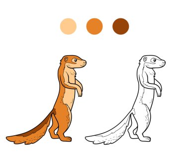 Boyama kitabı (xerus)