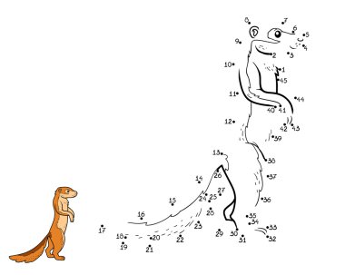 Sayı oyunu, çocuklar için (zemin sincap, xerus oyun)