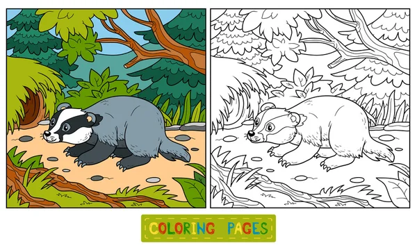 Coloring book (badger and background) — Stock Vector