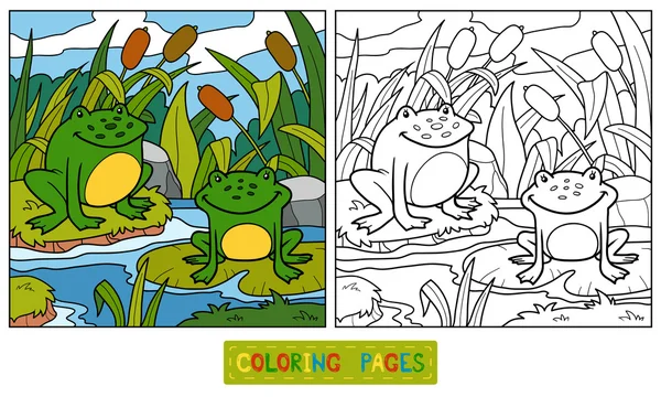 Coloring book (two frogs and background) — Stock Vector