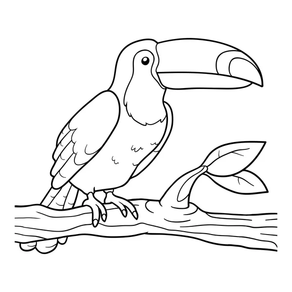 Livro para colorir (tucano ) — Vetor de Stock