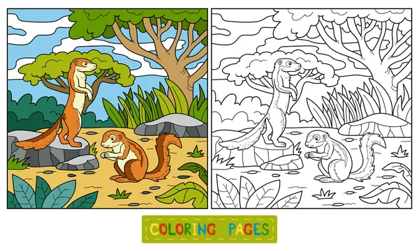 Coloring book (ground squirrel, xerus) — Stock Vector