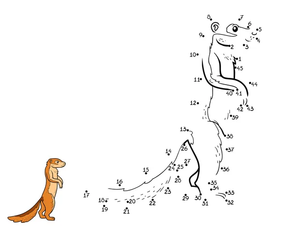 Игра чисел, игра для детей (ground squirrel, xerus) ) — стоковый вектор