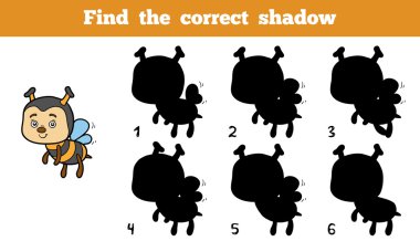 Doğru gölge (arı bulmak)