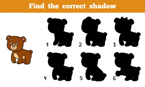 Βρείτε τη σωστή σκιά (αρκούδα) — Διανυσματικό Αρχείο