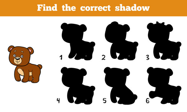 Find the correct shadow (bear)