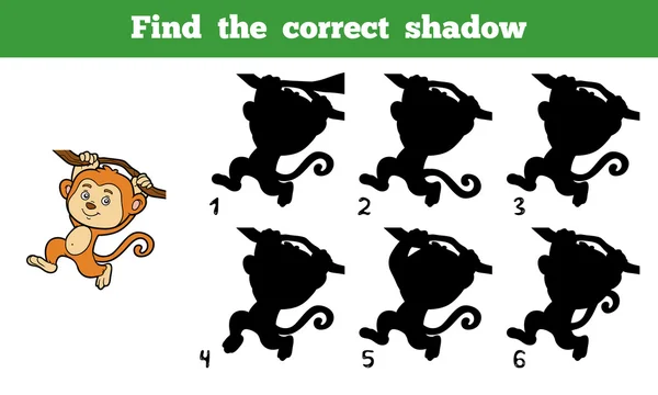 Encontre a sombra correta (macaco ) —  Vetores de Stock