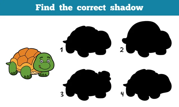 Find the correct shadow (turtle) — Stock Vector