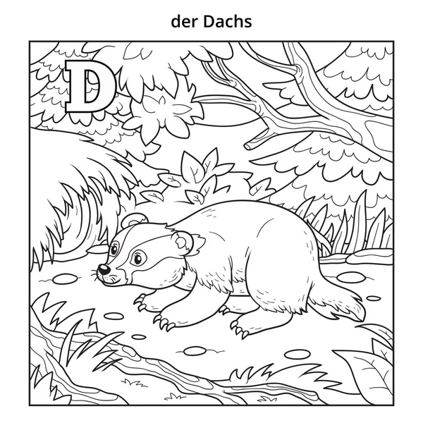 German alphabet, letter D (badger and background) — Stock Vector