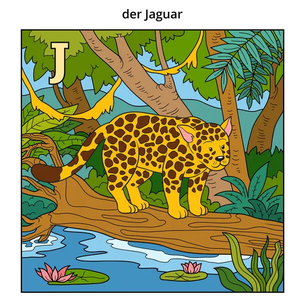 Tyska alfabetet, bokstaven J (jaguar och bakgrund) — Stock vektor