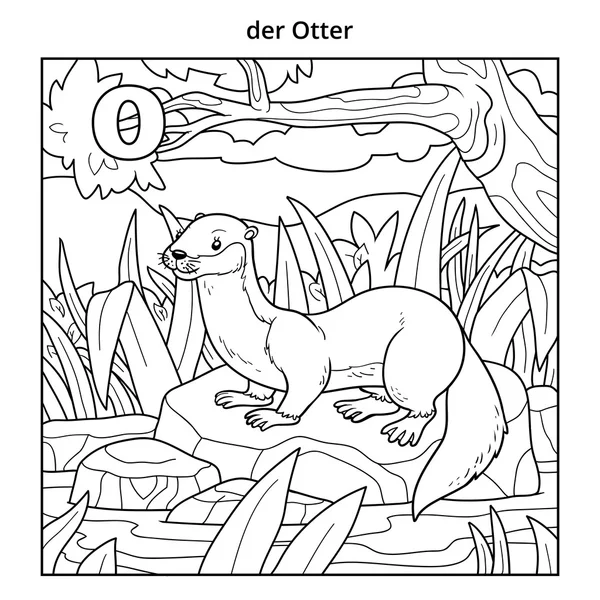 Duitse alfabet, letter O (otter en achtergrond) — Stockvector