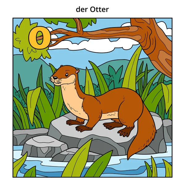 German alphabet, letter O (otter and background) — Stock Vector