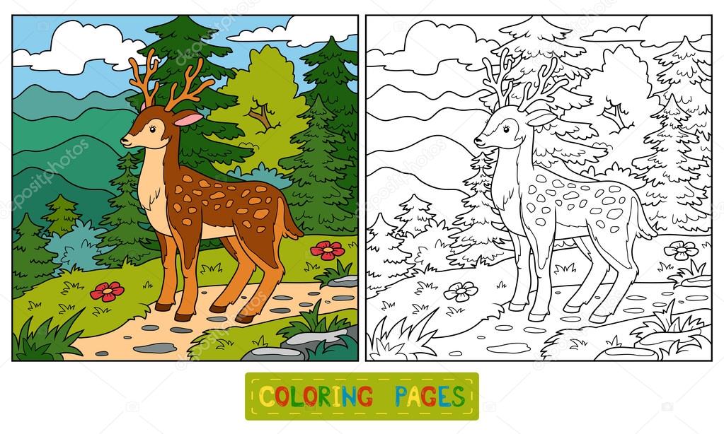 Dibujos animados de ciervos del animal del bosque para colorear vector  libro imágenes de stock de arte vectorial | Depositphotos