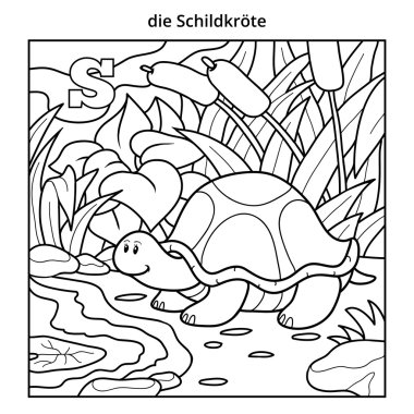 Alman alfabesi, harf S (kaplumbağa ve arka plan)