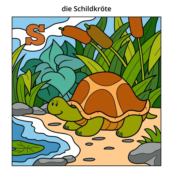 Немецкий алфавит, буква S (черепаха и фон ) — стоковый вектор