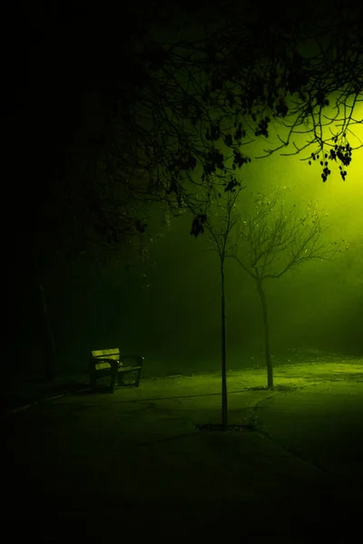 공원에 어두운 — 스톡 사진