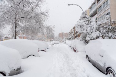 park halindeki arabalar karla kaplı.
