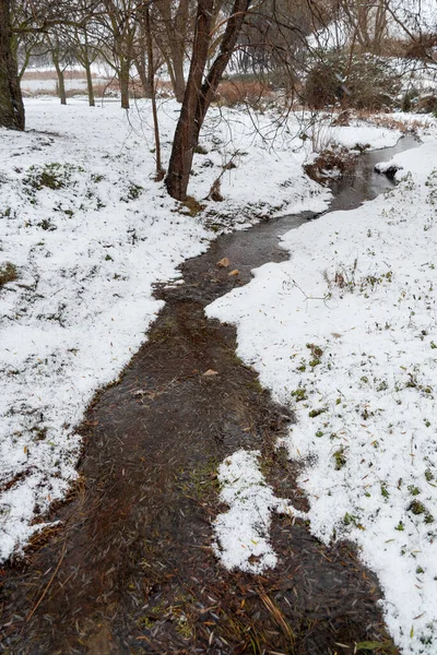 Kış ormanında donmuş nehir