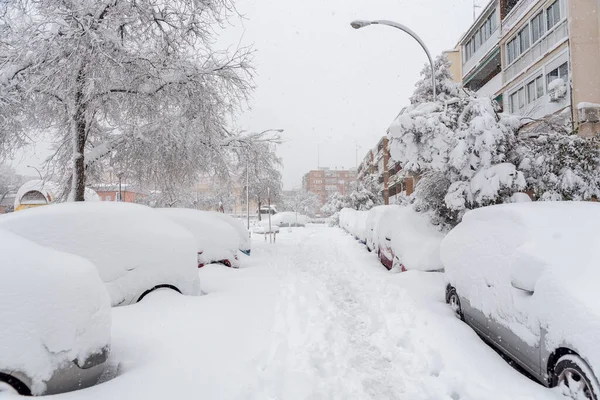 Parkerade Bilar Täckta Snö Stockfoto