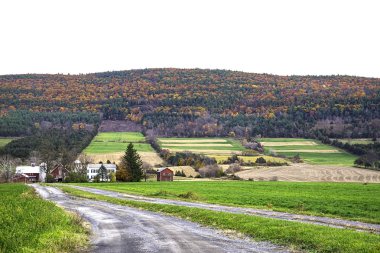 Schoharie Hills Patchwork