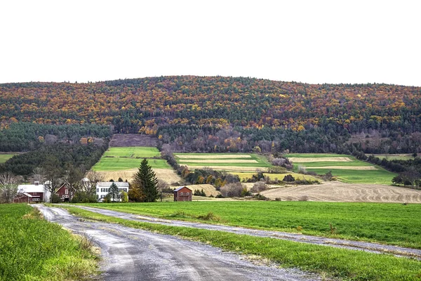 Schoharie Hills Patchwork — Stock Photo, Image