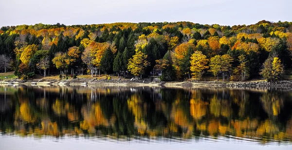 Sacandaga'nın sonbahar yansımalar — Stok fotoğraf