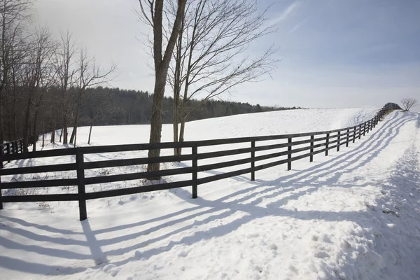 Winter Fence Line — Stock Photo, Image