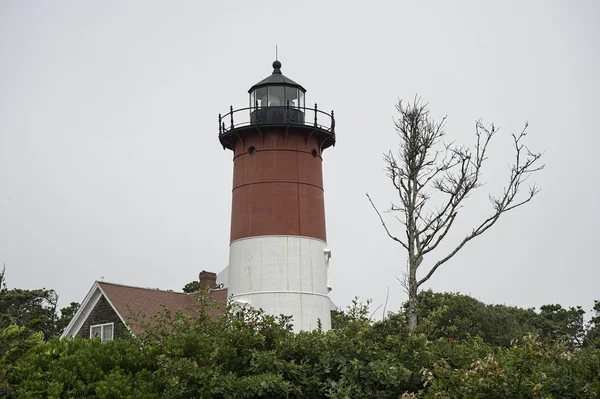 Nauset Lighthouse — Stock Photo, Image