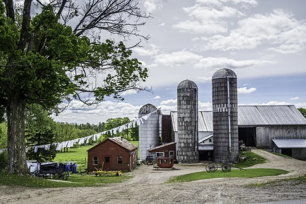 Amish Homestead — Stok fotoğraf