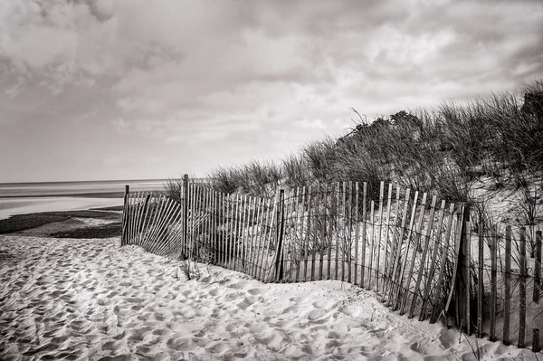 海滩篱笆 （黑 & 白) — 图库照片