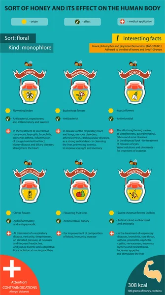 Variedades de miel Monophlore — Archivo Imágenes Vectoriales