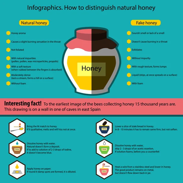 Infografica. Come distinguere il miele naturale da un falso — Vettoriale Stock