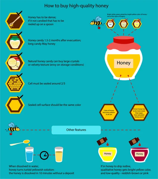 Hur man köper kvalitativa honung — Stock vektor