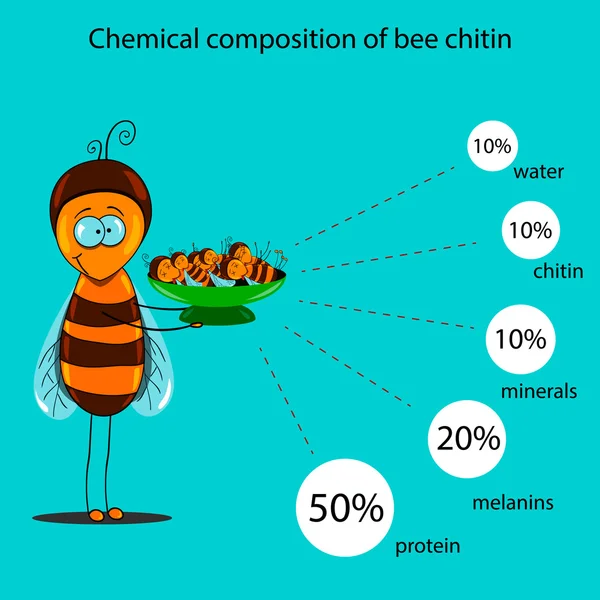 Il poster informativo contenente informazioni su una composizione chimica della chitina d'api — Vettoriale Stock