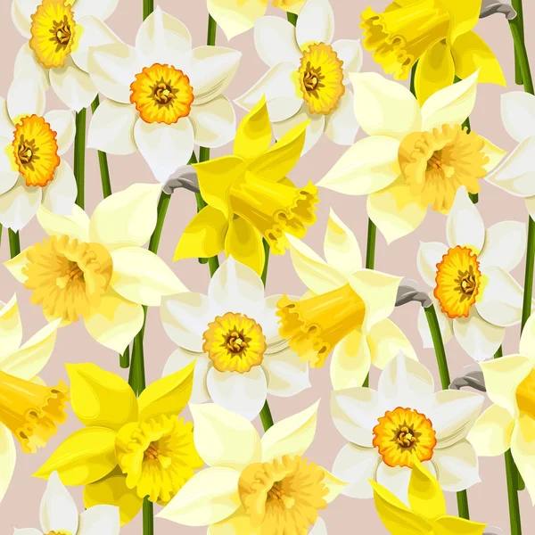 Seamless white and yellow daffodils — Stock Vector