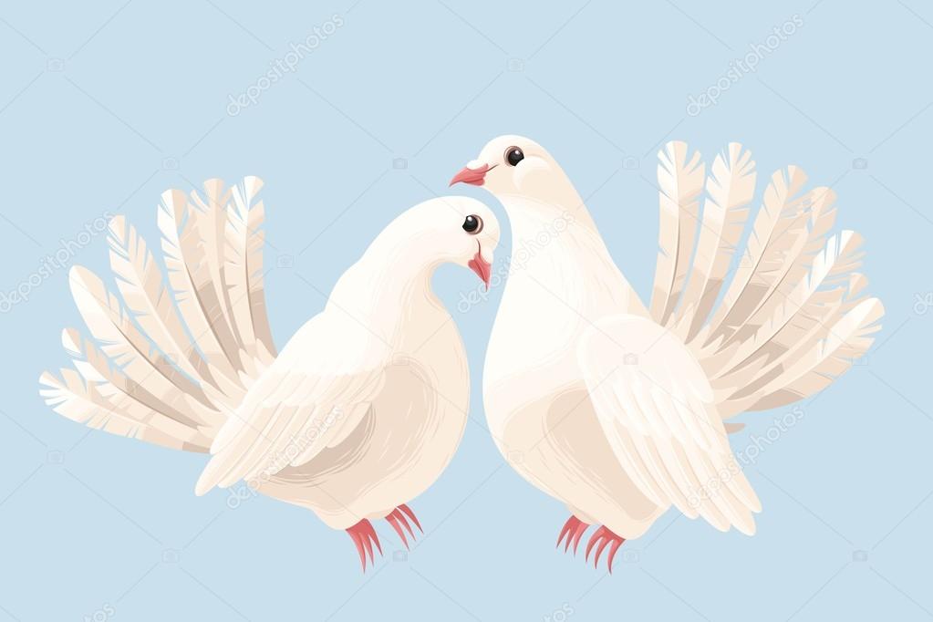 Couple of white doves