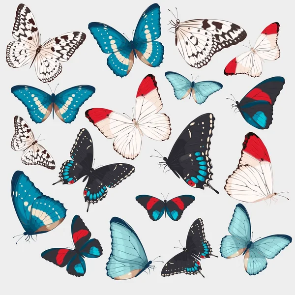 Colección de mariposas — Archivo Imágenes Vectoriales