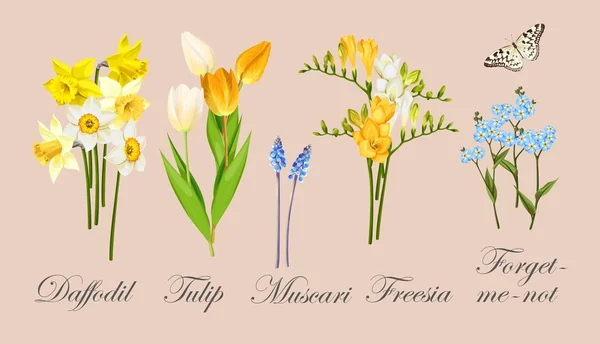 Collection of spring flowers Stock Vector