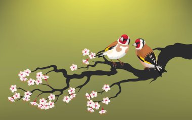 Branch of blooming cherry clipart
