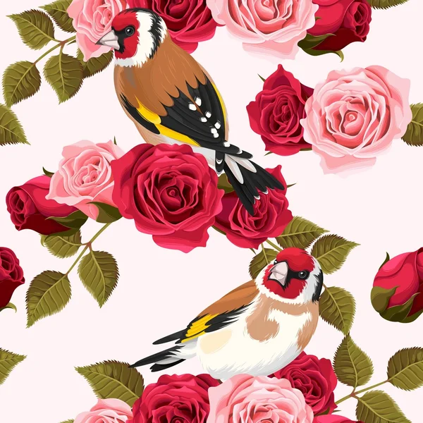 Varrat nélküli goldfinch és rózsák — Stock Vector