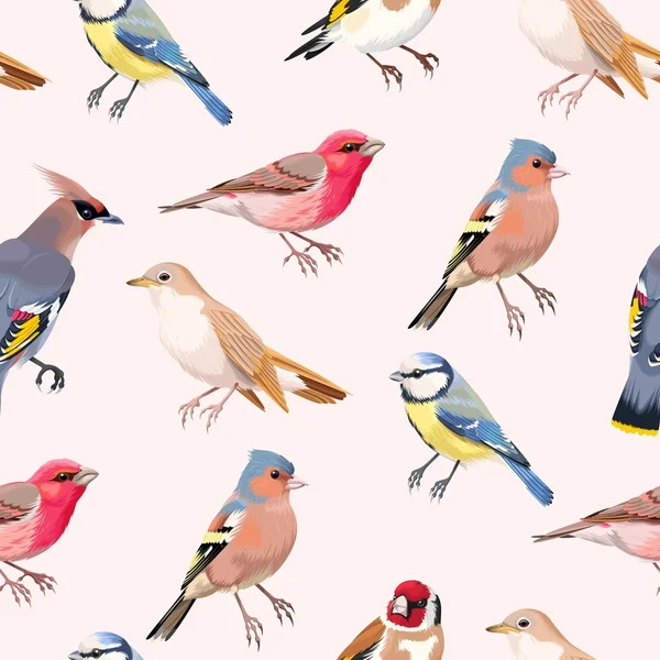 Pájaros cantores coloridos sin costura — Vector de stock