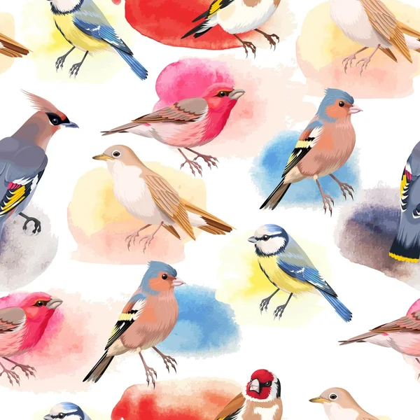 Pájaros cantores coloridos sin costura — Vector de stock