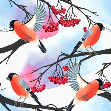 Sorunsuz şakrak kuşu ve rowan