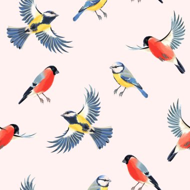 Sorunsuz şakrak kuşu ve tomtit